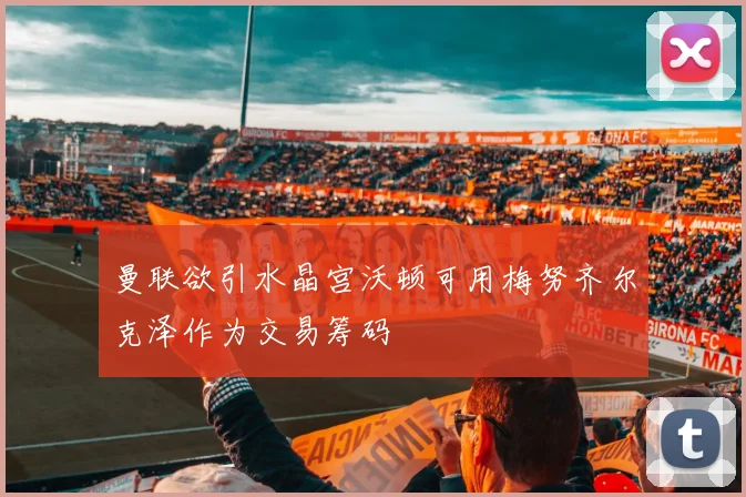 曼联欲引水晶宫沃顿可用梅努齐尔克泽作为交易筹码
